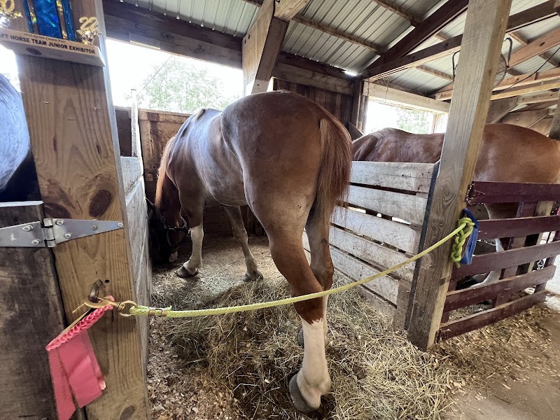 Lorain County Fair photo 6