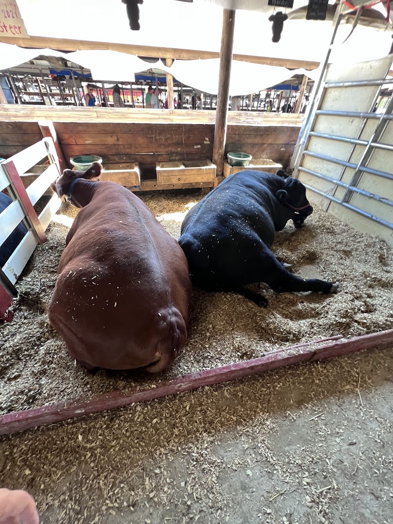 Lorain County Fair photo 10