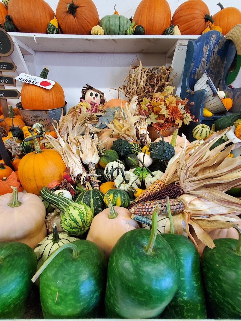 Canfield Fairgrounds photo 3
