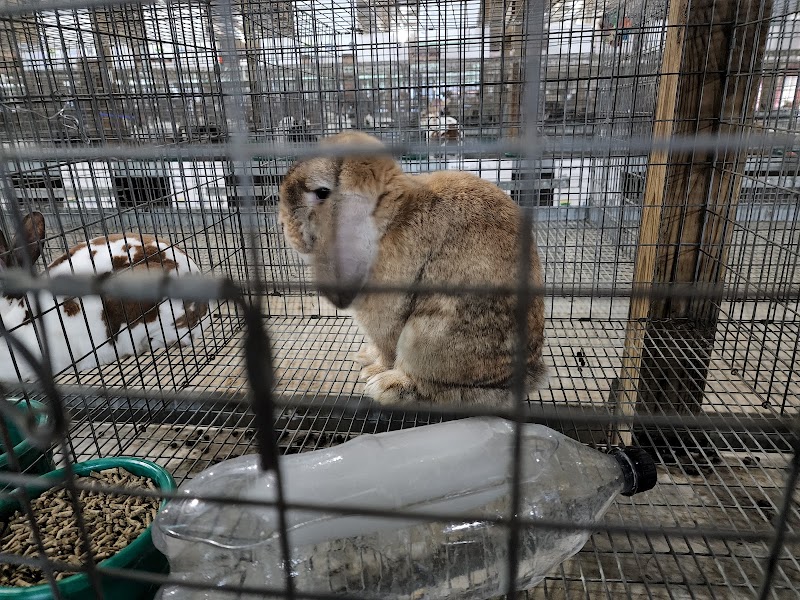 St. Joseph County Fairgrounds photo 4
