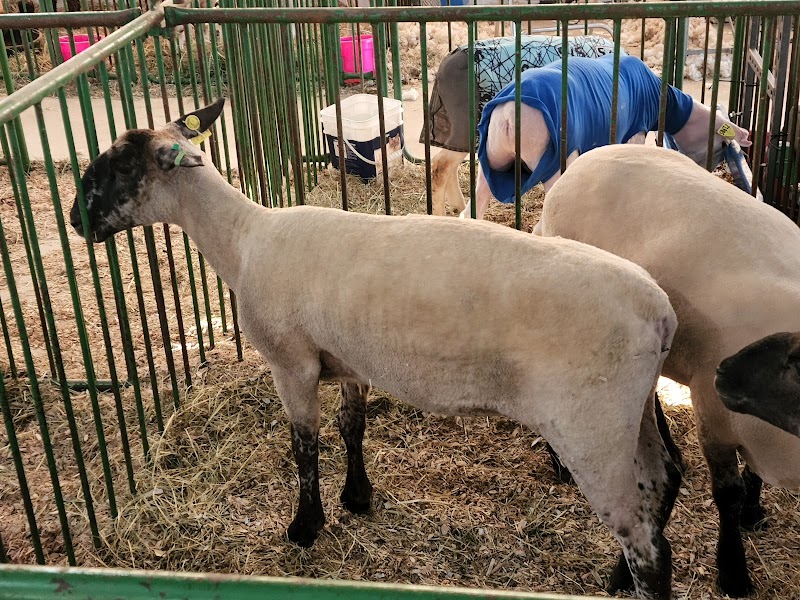 St. Joseph County Fairgrounds photo 6