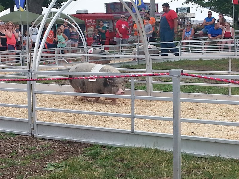 Fulton County Fairgrounds photo 7