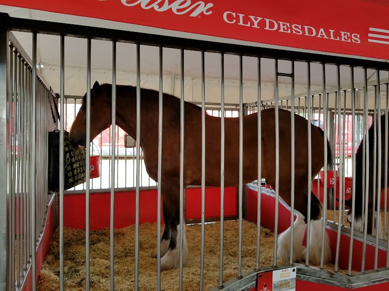 Monroe County Fair Association photo 1