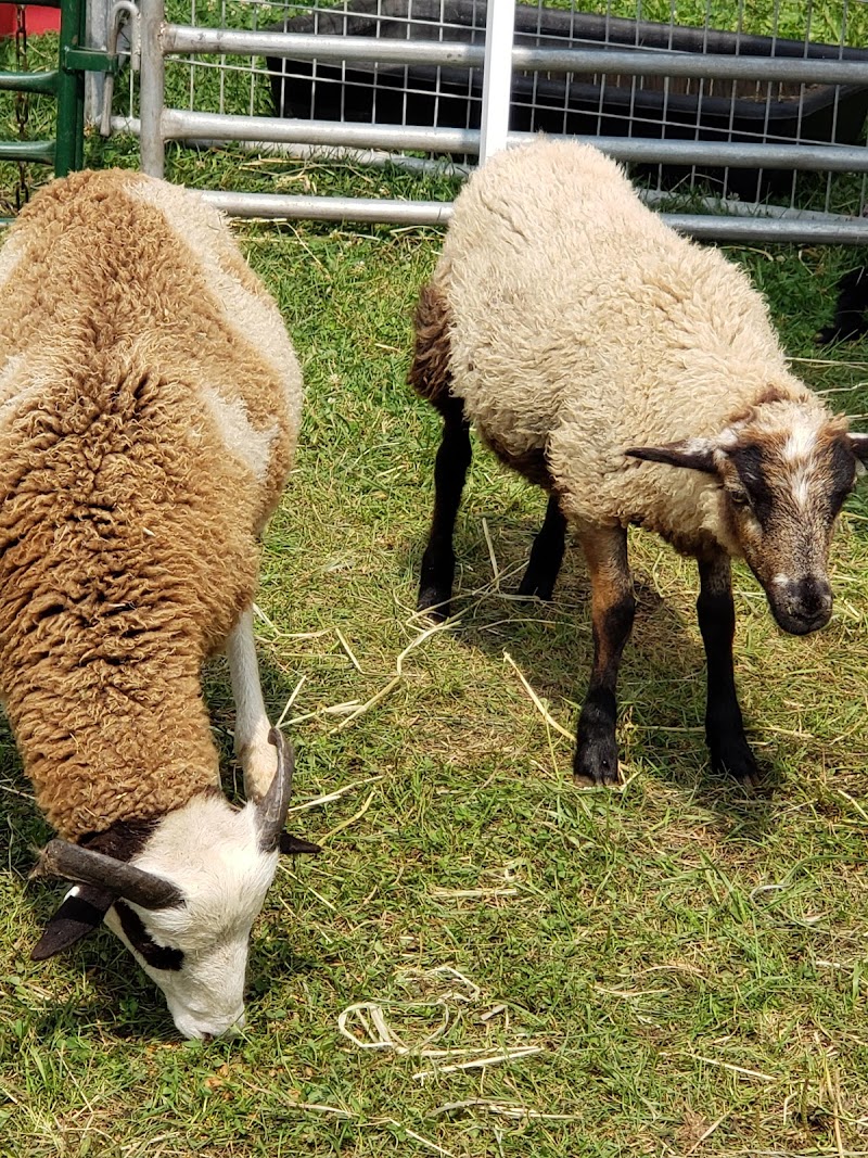 Monroe County Fair Association photo 3
