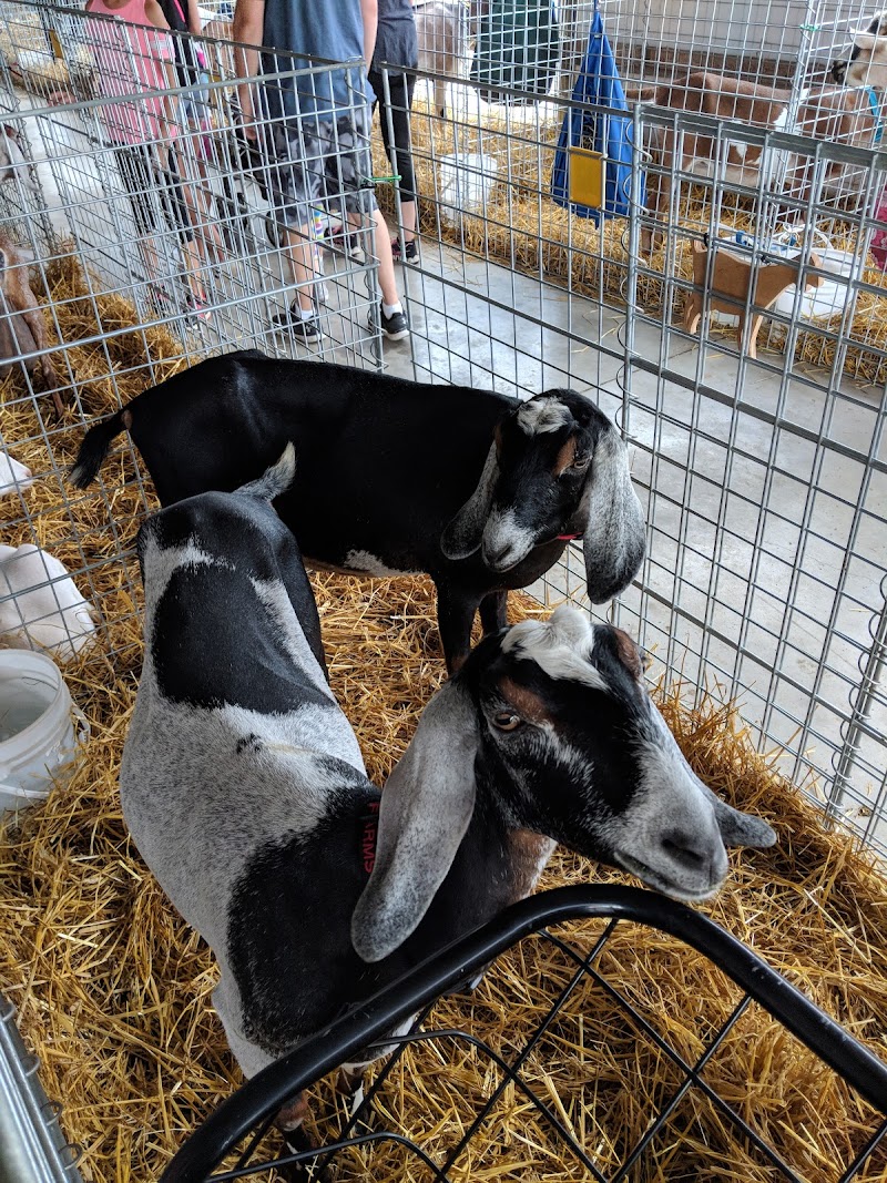 Monroe County Fair Association photo 4