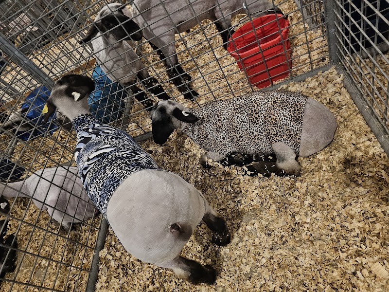 Monroe County Fair Association photo 6