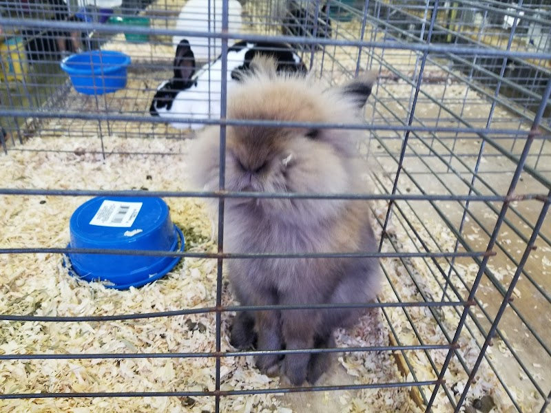 Monroe County Fair Association photo 10