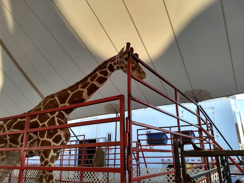 The Great New York State Fair photo 3