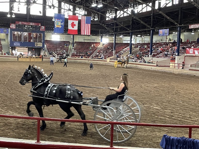 The Great New York State Fair photo 10