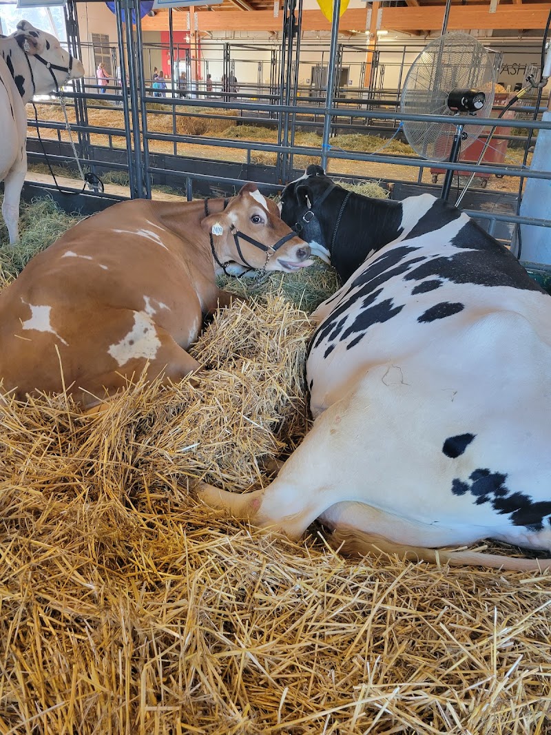 Washington State Fair photo 7