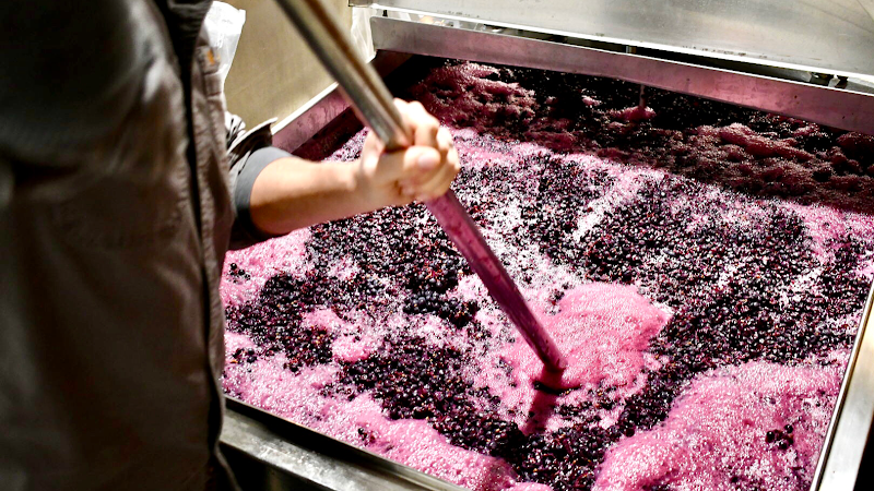 LedgeStone Vineyards photo 1