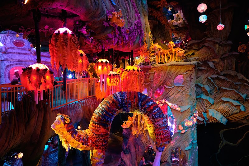 Meow Wolf photo 5