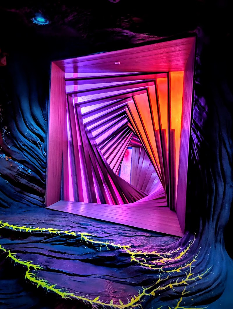 Meow Wolf photo 6
