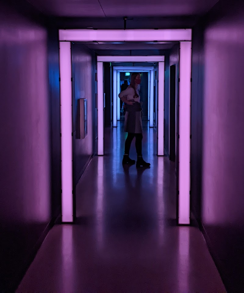 Meow Wolf photo 9
