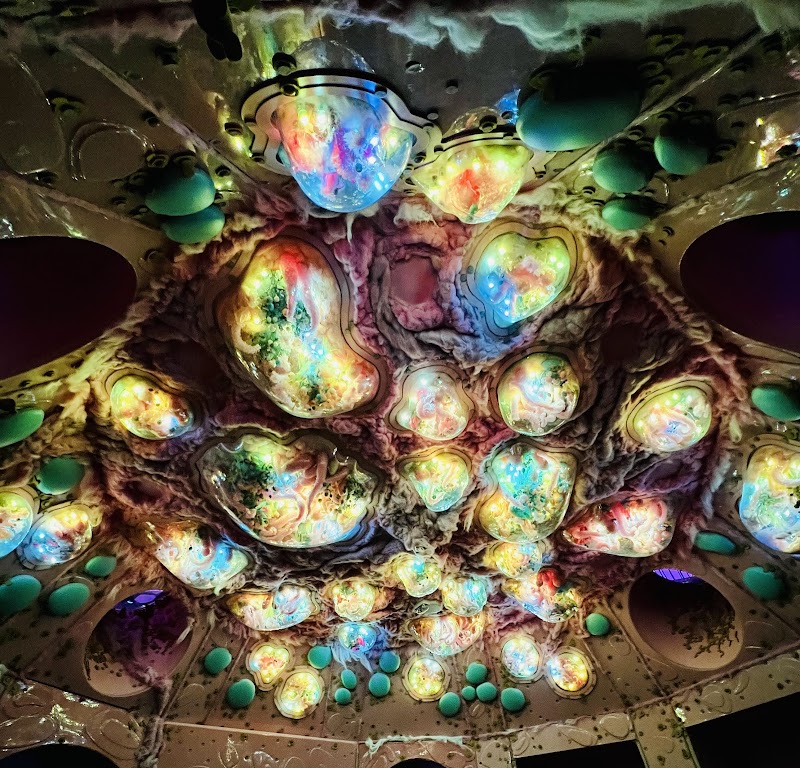 Meow Wolf photo 10