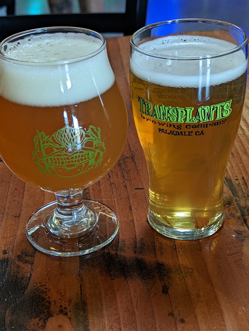 Transplants Brewing Company photo 4