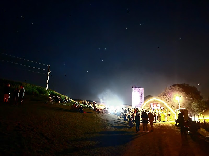 Codfish Hollow Barnstormers photo 6