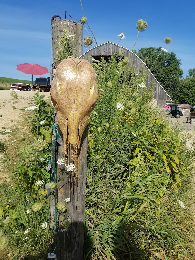 Codfish Hollow Barnstormers photo 9