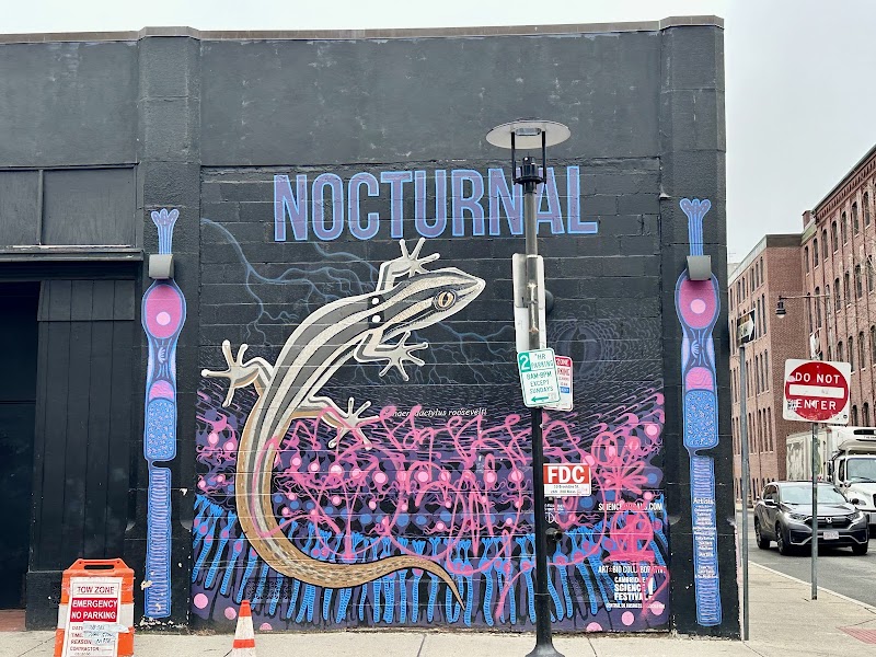 Sonia Live Music Venue photo 3