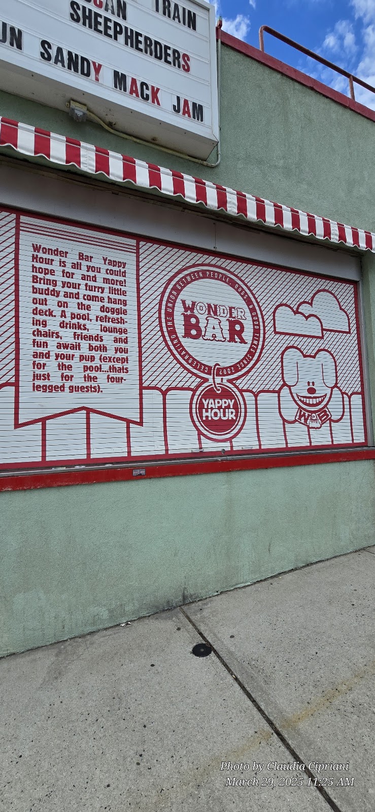 The Wonder Bar photo 8