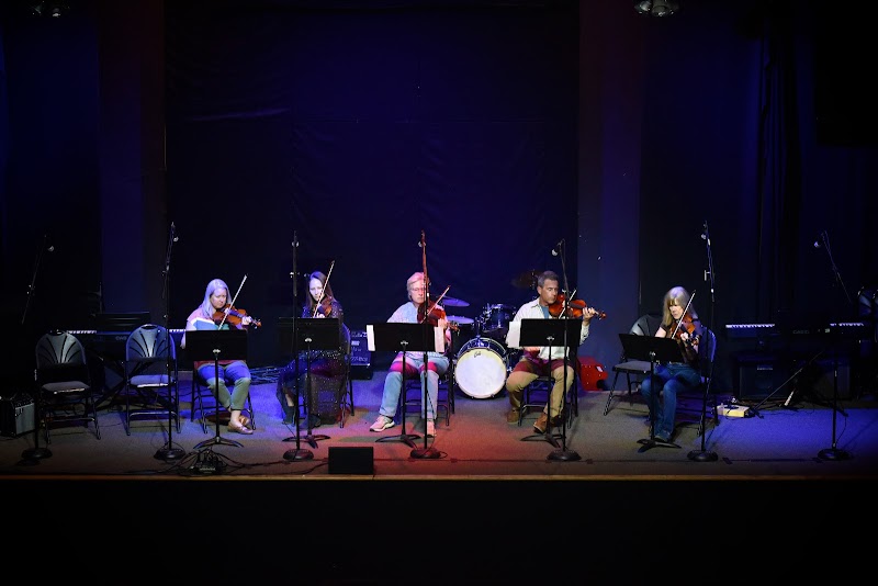 Swallow Hill Music photo 2