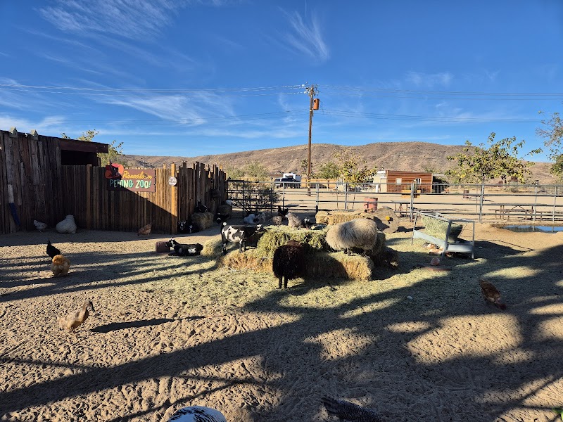 Pappy & Harriet's Pioneertown Palace photo 8