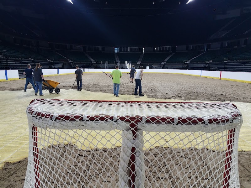 Vibrant Arena at The MARK photo 8