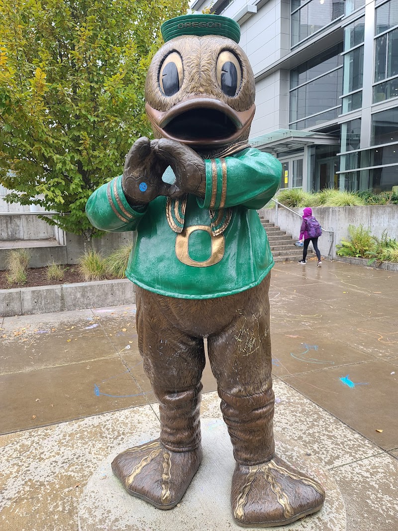 Matthew Knight Arena photo 6