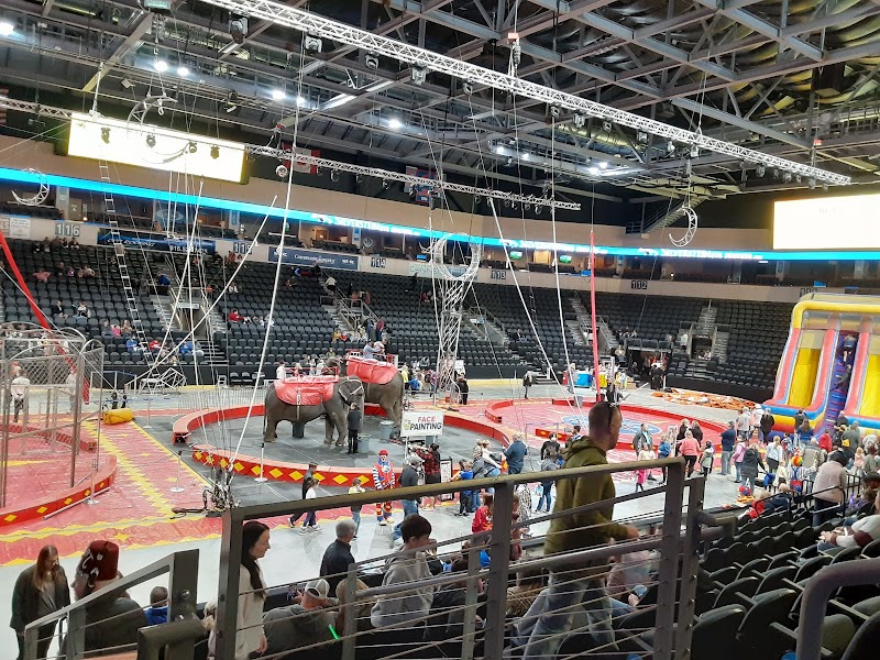 Cable Dahmer Arena photo 9