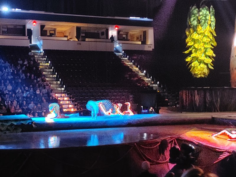 Brookshire Grocery Arena photo 3