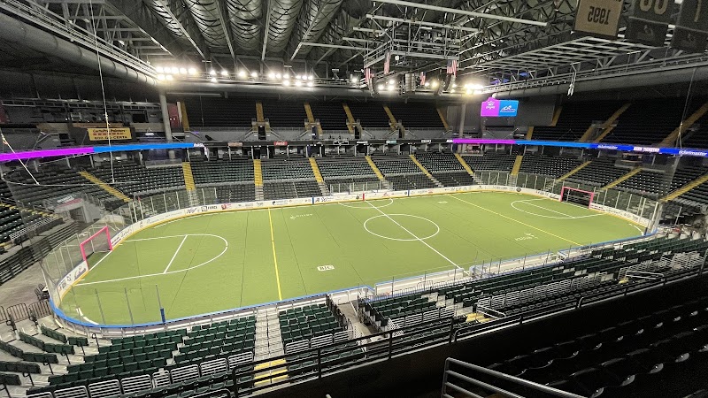 The Family Arena photo 3
