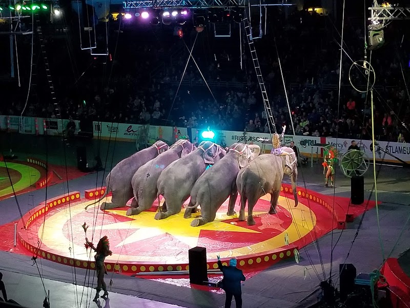 The Family Arena photo 6