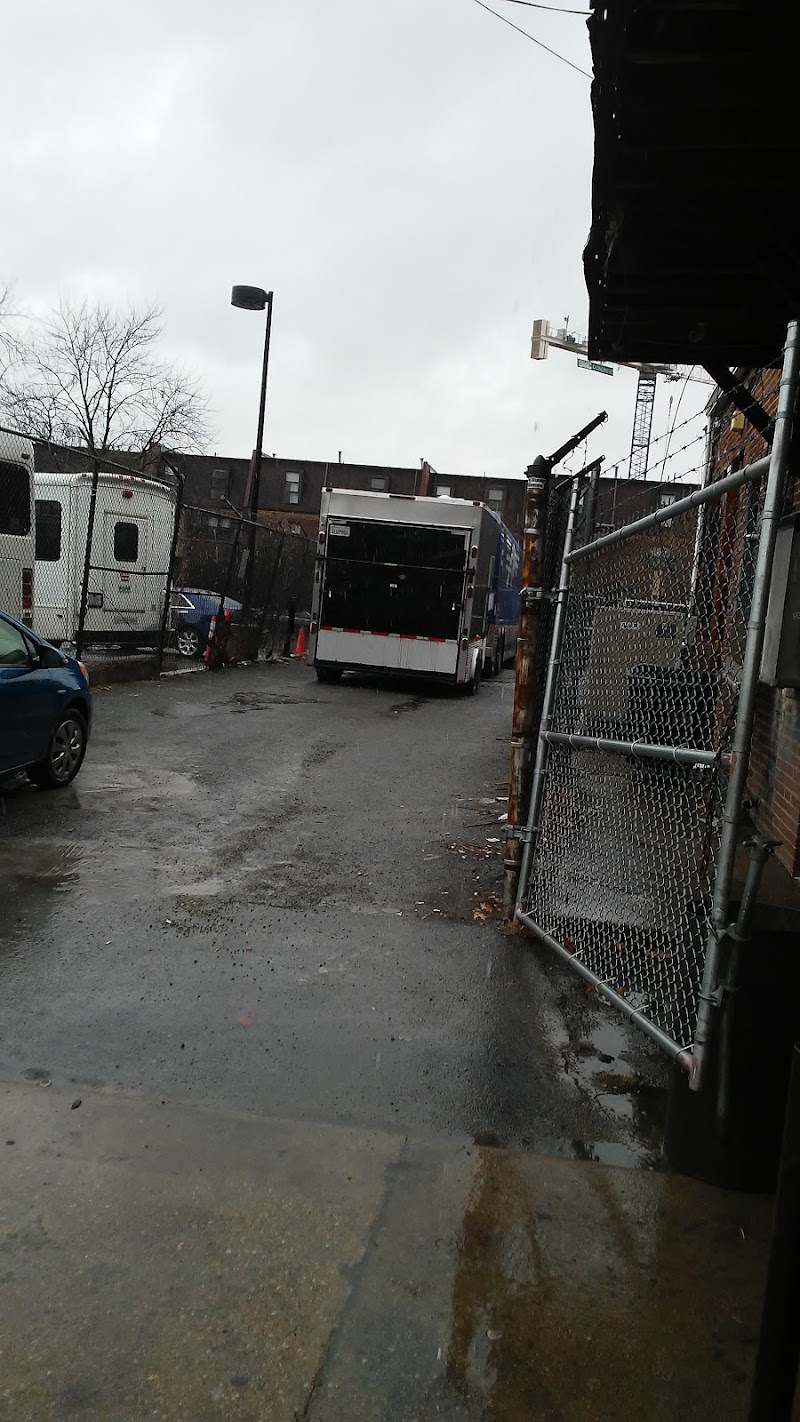 Black Cat photo 10
