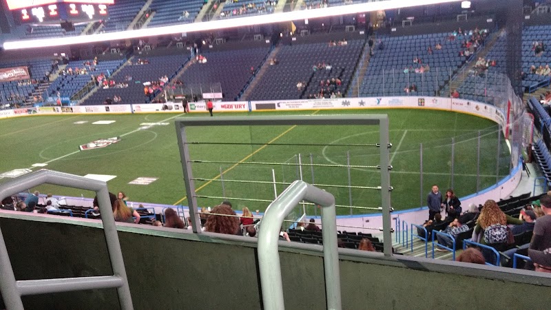 Toyota Arena photo 5