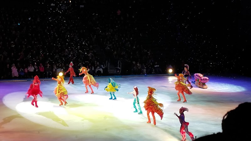 Toyota Arena photo 6