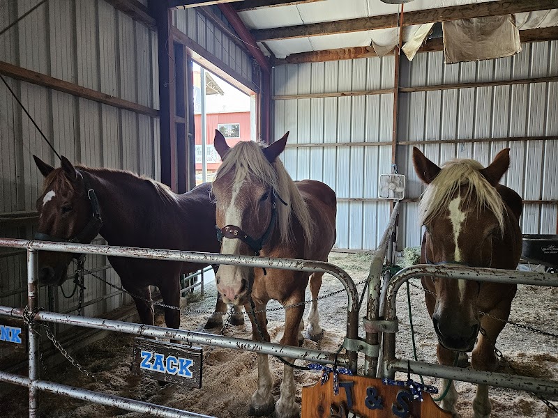 Kootenai County Fairgrounds - North Idaho State Fair & Rodeo photo 4