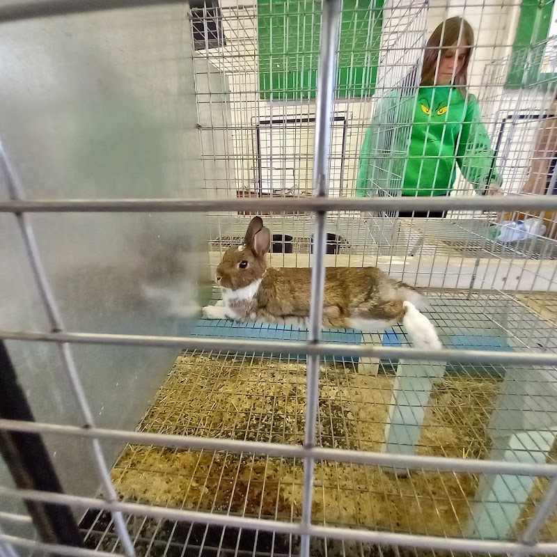Kootenai County Fairgrounds - North Idaho State Fair & Rodeo photo 6