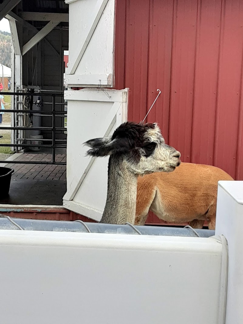 Kootenai County Fairgrounds - North Idaho State Fair & Rodeo photo 9