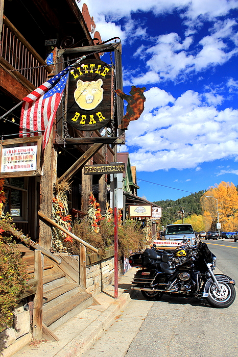 Little Bear Saloon photo 1