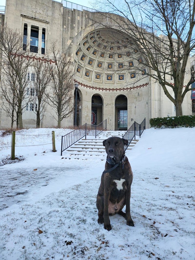Ohio Stadium photo 3